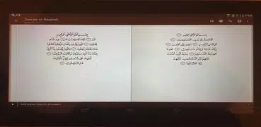 Quran Afrilang