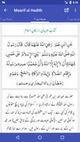 Maarif ul Hadith screenshot 2