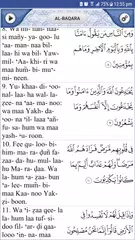 Quran Explorer XAPK Herunterladen