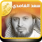 Coran mp3 Saad Al Ghamdi icône
