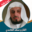 قران كامل سعد الغامدي بدون نت APK
