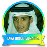 Taha Al Junayd Juz 30 Murottal