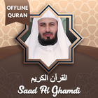 Saad Al Ghamdi Quran Offline 2020 icône