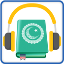 القرآن MP3: 50 صوتا APK