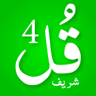 4 Qul Shareef Offline Audio icon