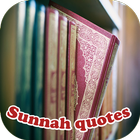 Sunnah Quotes icône