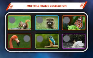 Animals Photo Frames poster