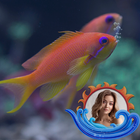 Aquarium Photo Frame ikon