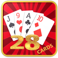 28 Cards Game