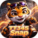 TT345Snap