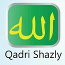 qadrishazly APK