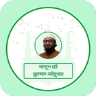 Abdul Hi Muhammad Saifullah-icoon