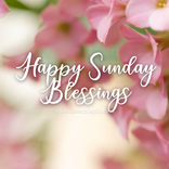 Happy Sunday Blessings