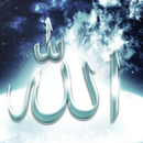 Islamic Calligraphy Wallpaper  APK
