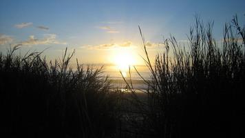 Myrtle Beach wallpaper پوسٹر