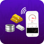 Gold & Metal Detector