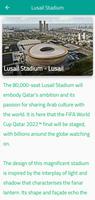 Qatar World cup 22 Legacy Affiche