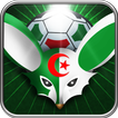 Algerie Fennecs