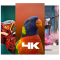 Wallpapers HD, 4K Backgrounds UHD