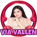 Lagu Dangdut Koplo Via Vallen MP3 APK
