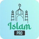 Islam Pro: Prayer times, Athan APK