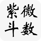 大师紫微斗数 icon