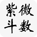 大师紫微斗数-紫微斗数排盘 APK