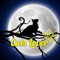 Cats Lover Card