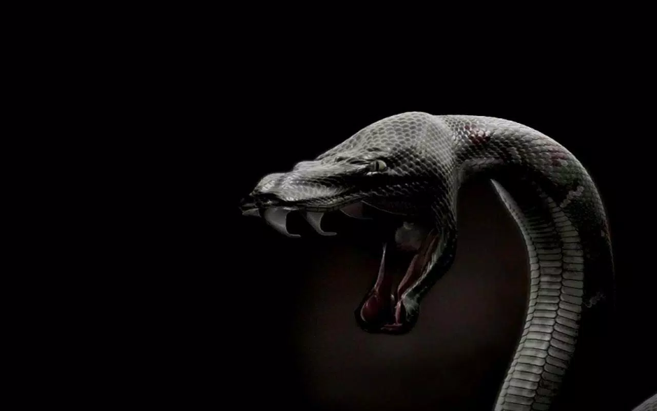 Android向けのヘビの壁紙 Apkをダウンロードしましょう
