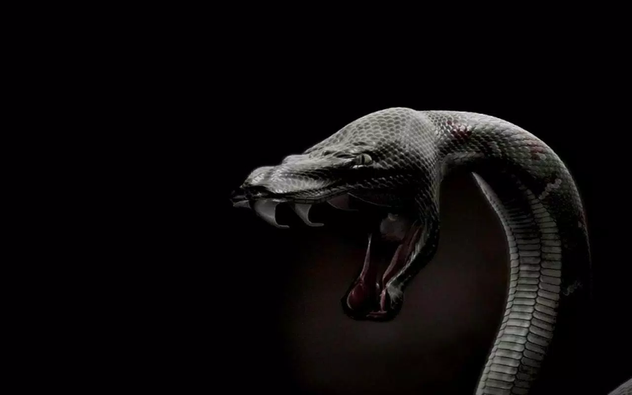 Tải xuống APK Snake Wallpaper cho Android