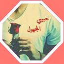 قصص مغربية قصة حبيبي مجهول APK
