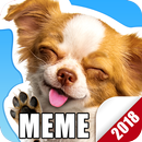 Cute Dog Meme Sticker Packs For WhatsApp APK