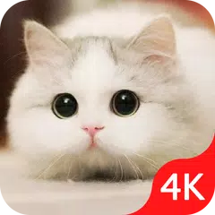 download Cute Cat Wallpaper Live HD XAPK