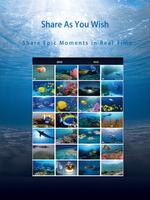 FIFISH P3 截图 3