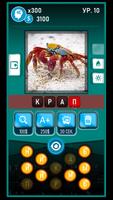 Guess the Word-Photo Pixel 스크린샷 2