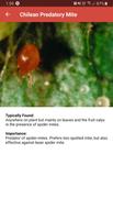 Strawberry Pest Identifier تصوير الشاشة 2