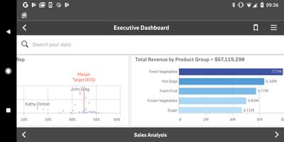 Qlik Sense Client-Managed captura de pantalla 1