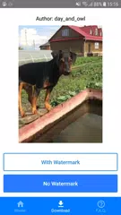 TT Video Downloader APK download