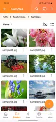 Qfile Pro XAPK download