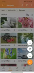 Qfile Pro XAPK download