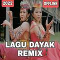 Lagu Dayak Remix Offline