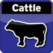 Cattle Breeding Calculator