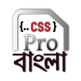 CSS Pro Bangla أيقونة