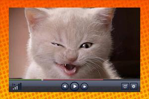 Funny Videos ภาพหน้าจอ 2