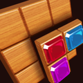 Wood Puzzle