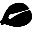 APK ماهی الکترونیکی