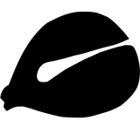 বৈদ্যুতিন কাঠের মাছ