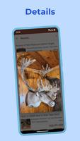 Местный самовывоз для eBay. скриншот 1