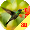 Birds Flying Live Wallpaper APK