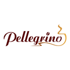 Pellegrino icône